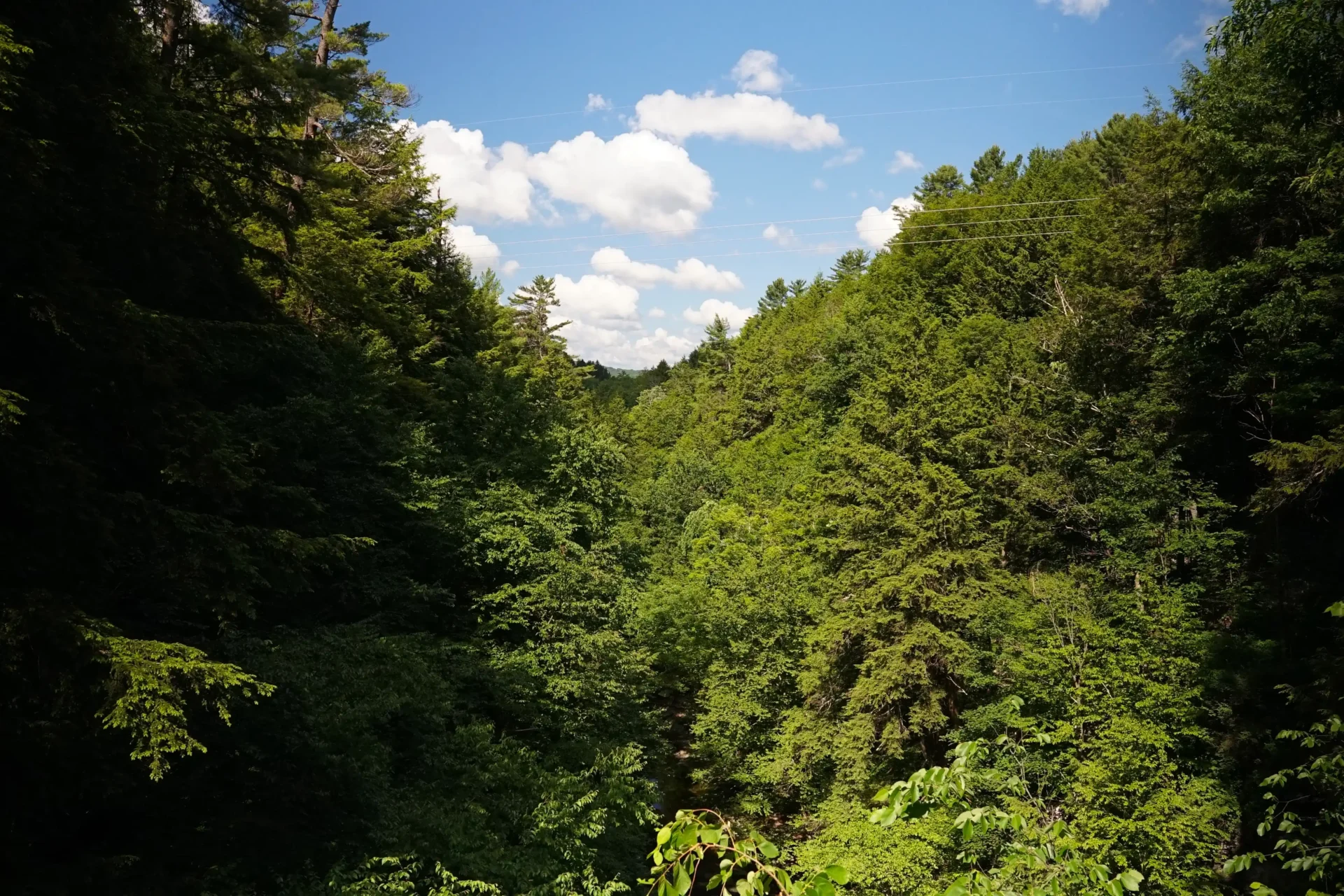 Outdoor view of lake with a blue sky and greenery