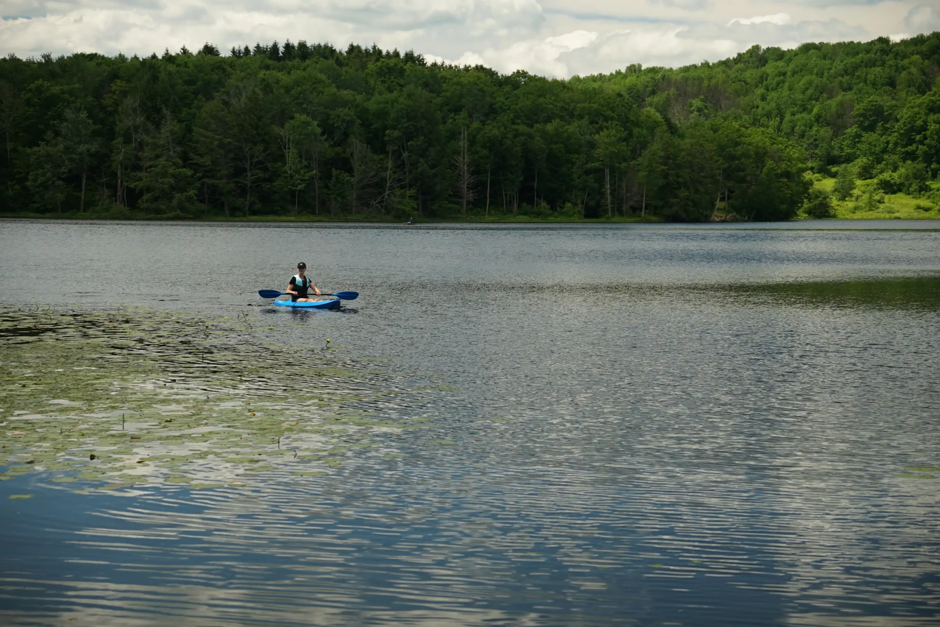 Outdoor view of lake with a blue sky and greenery
